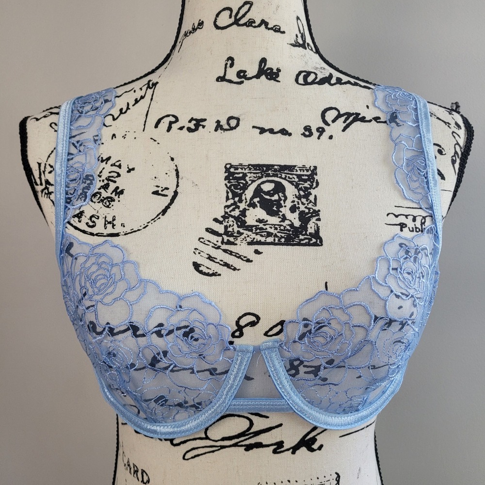 Blue lace bra sheer floral medium rose print pastel coquette feminine‎ romantic